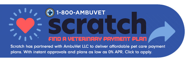 ambuvet partner with scratch to find an affordable pet care payment plan in NY. input phone number to receive instant approval, plans as low as 0%. does not affect credit score to search for payment plans. NEW offering from ambuvet to help our clients' pets receive immediate care.