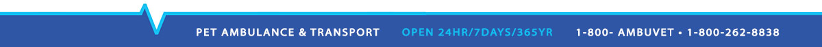 1800-262-8838 contact ambuvet footer